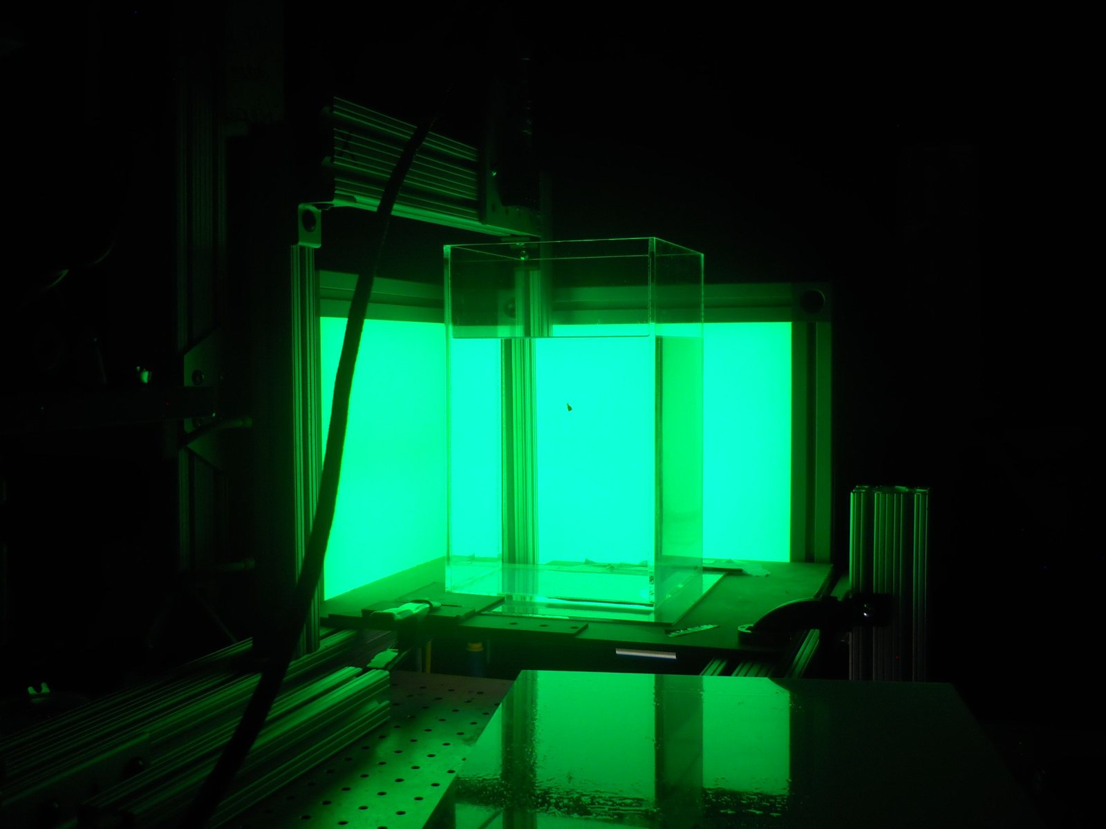 The sedimentation tank